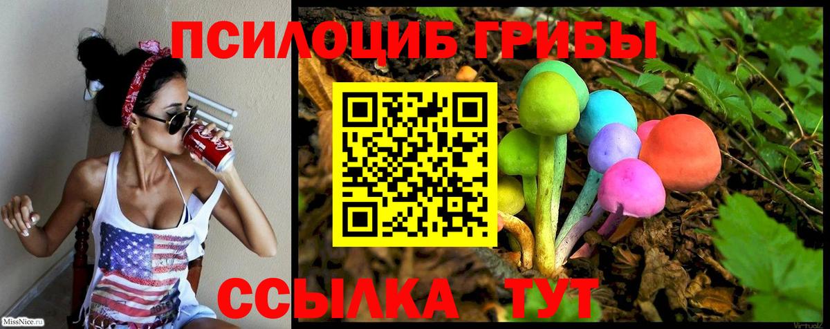 Галлюциногенные грибы Psilocybine cubensis Балабаново