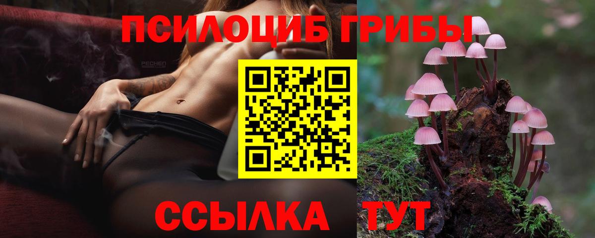 Балабаново  Псилоцибиновые грибы ЛСД  Вход с VPN 